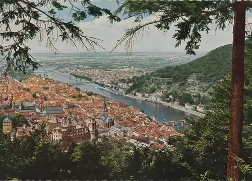 Heidelberg - Blick vom Rindenhäuschen