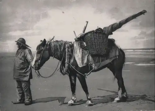 Mann mit beladenem Pferd am Strand - 1955