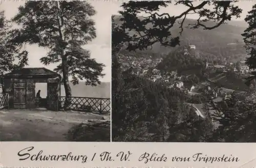 Schwarzburg - Blick vom Trippstein - 1960