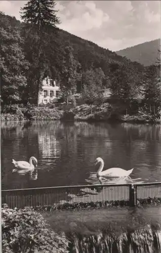 Badenweiler - Bergmannsruhe - ca. 1960