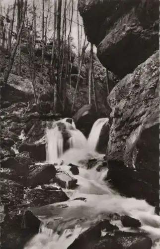 Zwingenberg - Partie in der Wolfsschlucht - ca. 1960