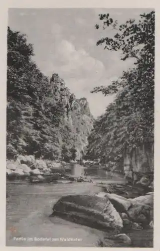 Thale - Bodetal mit Waldkater - ca. 1965