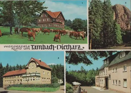 Tambach-Dietharz - u.a. Falkenstein - 1968