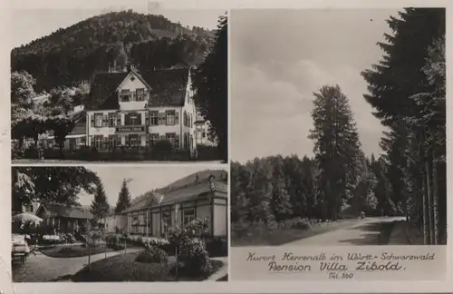 Bad Herrenalb - Pension Villa Zibold - 1933