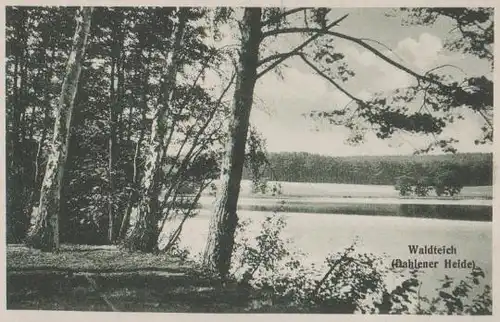 Torgau - Dahlender Heide - Waldteich - ca. 1955