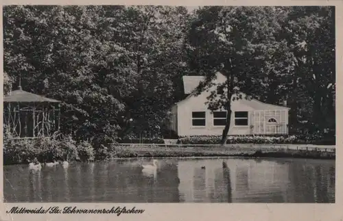 Mittweida - Schwanenschlößchen - 1962