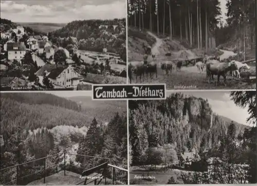 Tambach-Dietharz - u.a. Waldpartie - ca. 1975