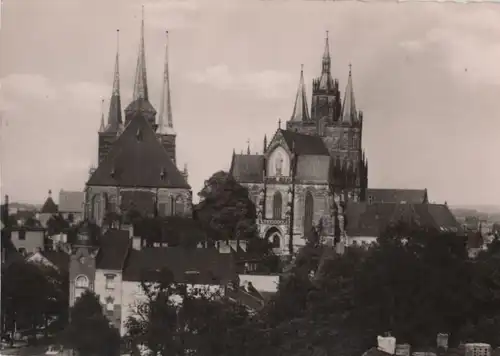 Erfurt - Dom und Severikirche - ca. 1965