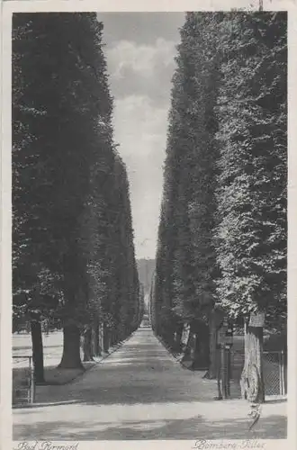 Bad Pyrmont - Bomberg-Allee - 1935