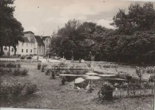Pretzsch (Elbe) - Kurpark, Froschteich - 1969