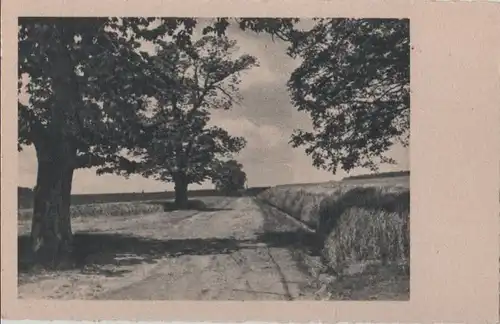 Bäume entlang des feldwegs - ca. 1955