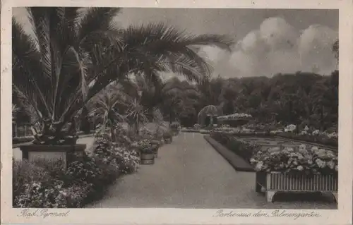 Bad Pyrmont - Partie aus dem Palmengarten - 1927