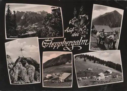 Garmisch-Partenkirchen, Steppbergalm - mit 5 Bildern - ca. 1965