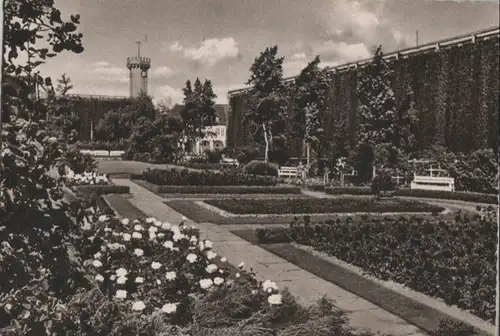 Bad Salzuflen - Im Rosengarten - ca. 1960