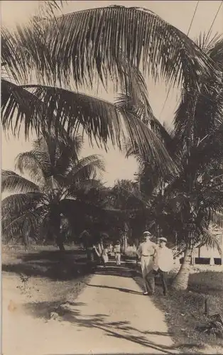 Menschen unter Palmen - ca. 1935