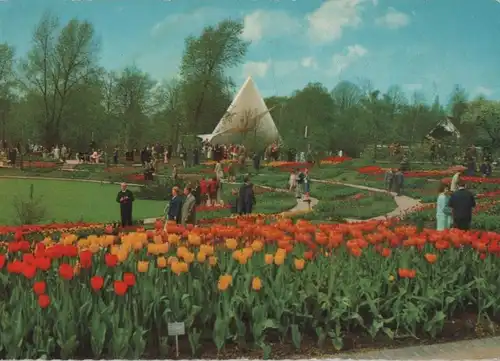 Essen - Im Gruga-Park - ca. 1980