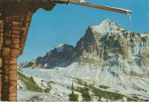 Schweiz - Grindelwald - Schweiz - Große Scheidegg