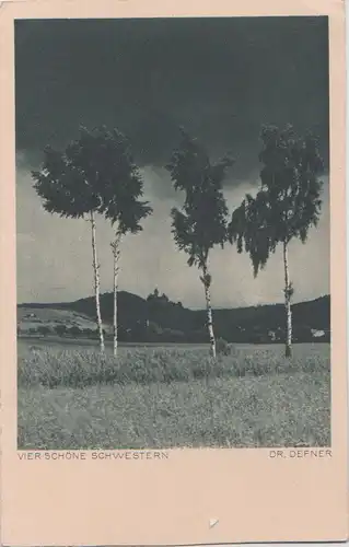 Bäume - Vier schöne Schwestern - ca. 1950