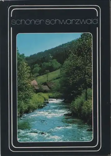 Schwarzwald - in einem Tal - 1988