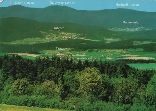 Bayerischer Wald - 1980
