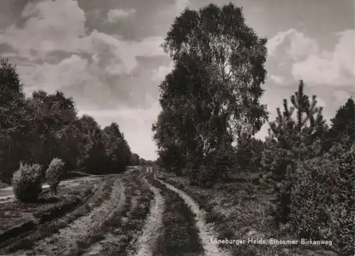 Lüneburger Heide - Einsamer Birkenweg - ca. 1965