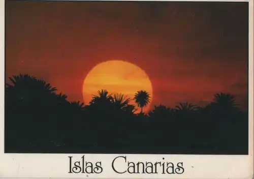 Spanien - Kanarische Inseln - Spanien - Sonne und Palme