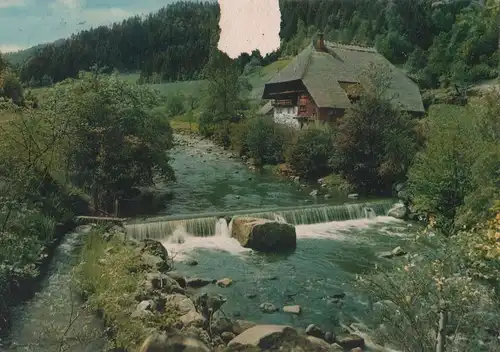 Schwarzwald - an der Gutach - 1972