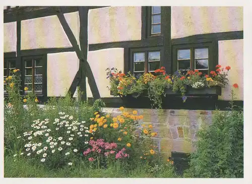 Hausfassade - 1992