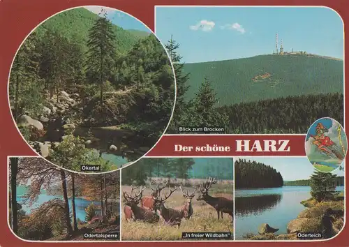 Harz - u.a. Oderteich - 1990