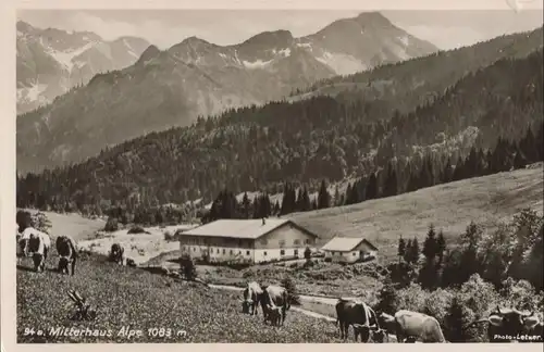 Allgäuer Alpen - Alpe Mitterhaus