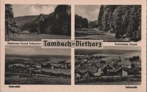 Tambach-Dietharz - u.a. Dietharzer Grund - 1959