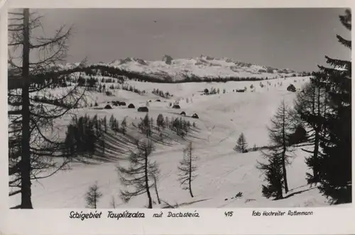 Österreich - Österreich - Tauplitzalm - Schigebiet - 1955