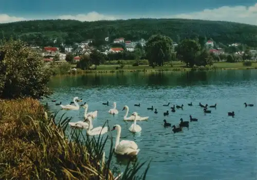 Bad König - Partie im neuen Kurpark - ca. 1980