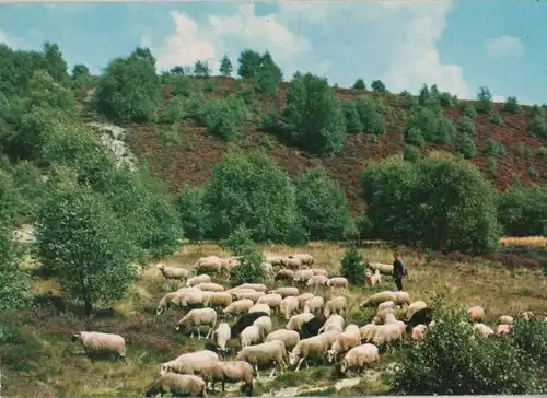 Niederlande - Niederlande - Emmen - 1975