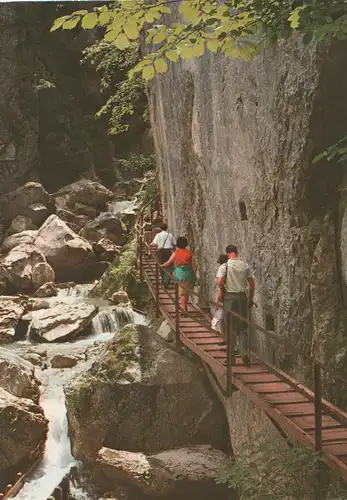 Schwangau, Hohenschwangau - Pöllatschlucht - 1975