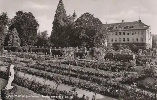 Mainau - Rosengarten