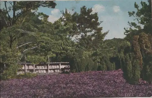 Lüneburger Heide - ca. 1930