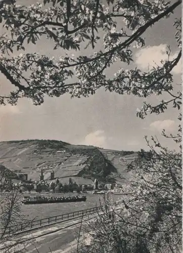 Rhein - Frühling - ca. 1955