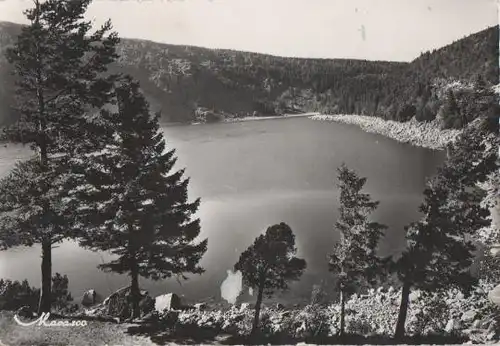 Frankreich - Frankreich - Les Hautes Vosges - Le Lac Noir - 1963