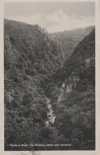 Thale - Blick vom Bodetor - 1963