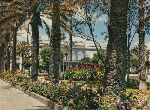 Spanien - Las Palmas - Spanien - Plaza de la Feria