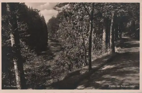 Schwarza - Partie im Tal - ca. 1950