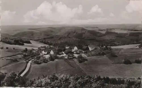 Wiblingwerde - Blick vom Fernmeldeturm - ca. 1960