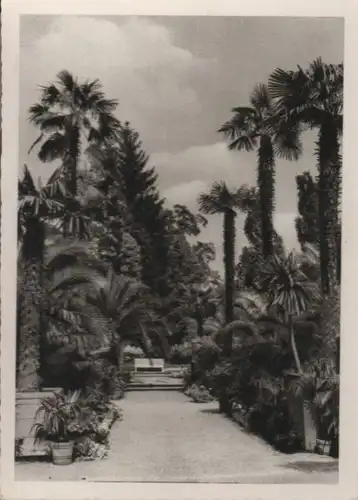 Bad Pyrmont - Kurpark - ca. 1955