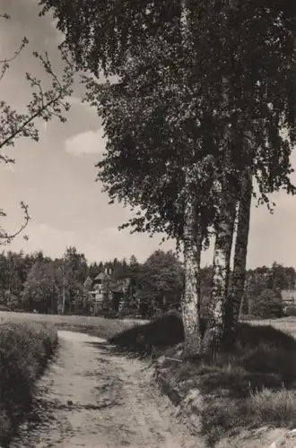 Dahlen-Schmannewitz - Birkenweg - 1958