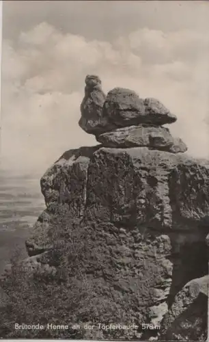 Kurort Oybin - Brütende Henne an der Töpferbaude - 1960