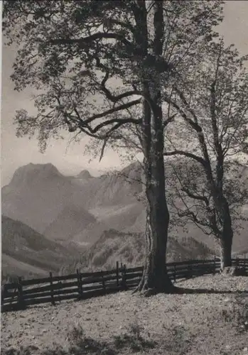 Berglandschaft - ca. 1960