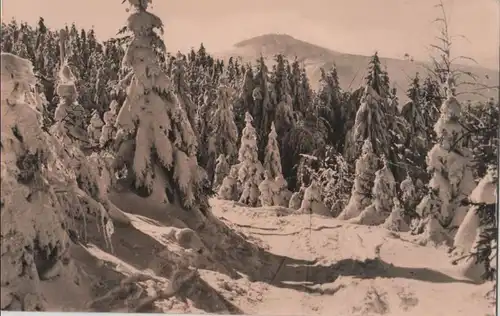 Winterwald - 1962