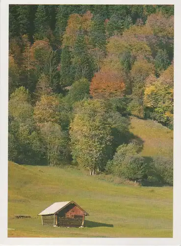 Hütte vor Herbstwald - 1989