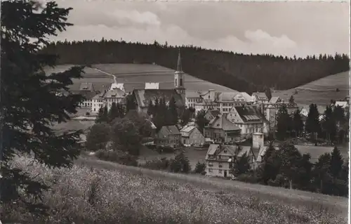 Schönwald - 1954